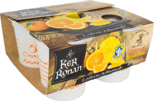 ker ronan yaourts lait entier orange ananas pack